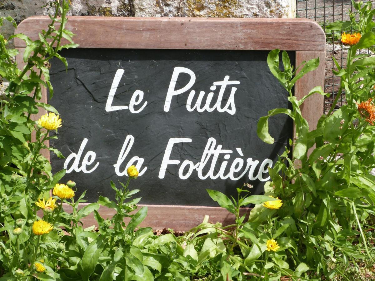 Bed and Breakfast Le Puits De La Foltiere Azay-sur-Cher Zewnętrze zdjęcie